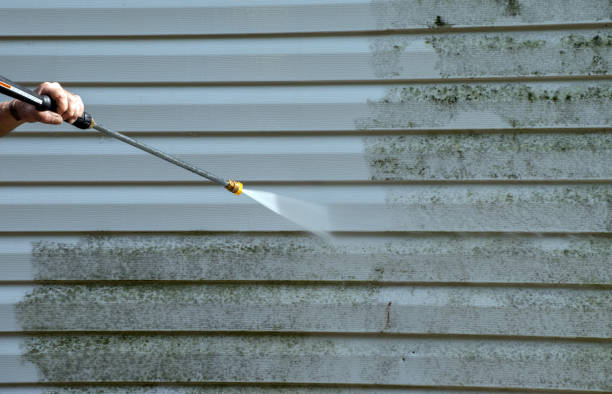 Best Fast Mold Removal  in Bridgman, MI