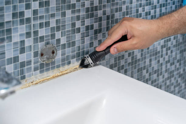 Best Commercial Mold Removal  in Bridgman, MI