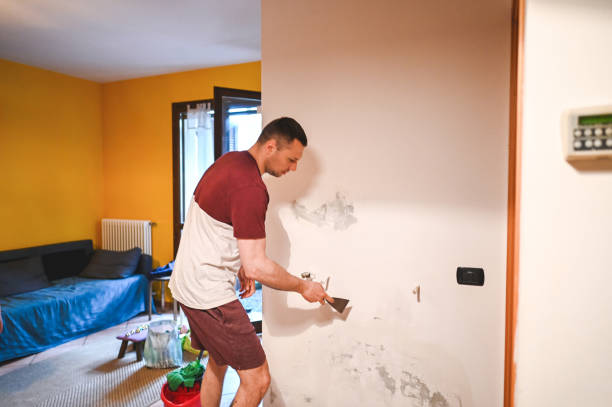 Best Crawl Space Mold Removal  in Bridgman, MI